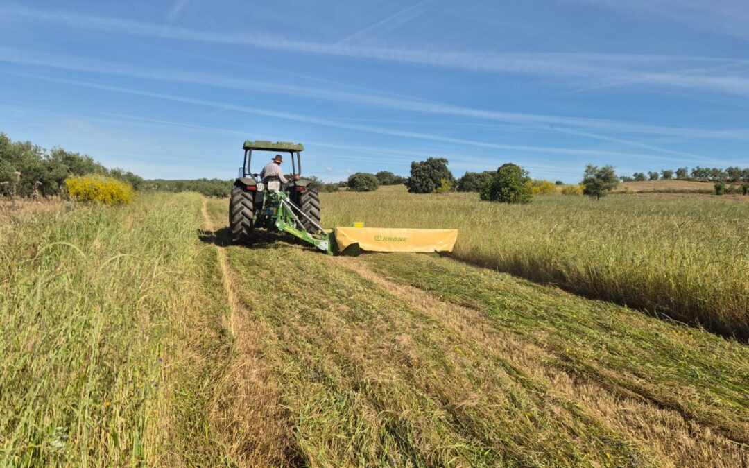 KRONE ActiveMow R280