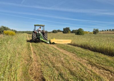 KRONE ActiveMow R280